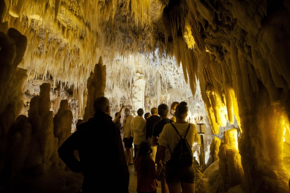 anh an tuong tuan 296 57 noi lo vo dap tam hiep ong trump lam dang voi gay bong chay va covid 19 can quet the gioi