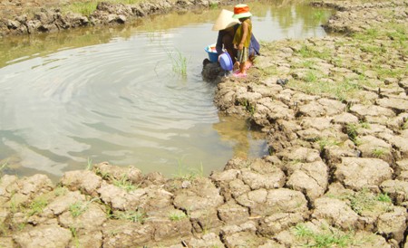 Ứng phó với biến đổi khí hậu, Việt Nam chọn phương thức ‘một mũi tên trúng hai đích’. (Nguồn: TTXVN)