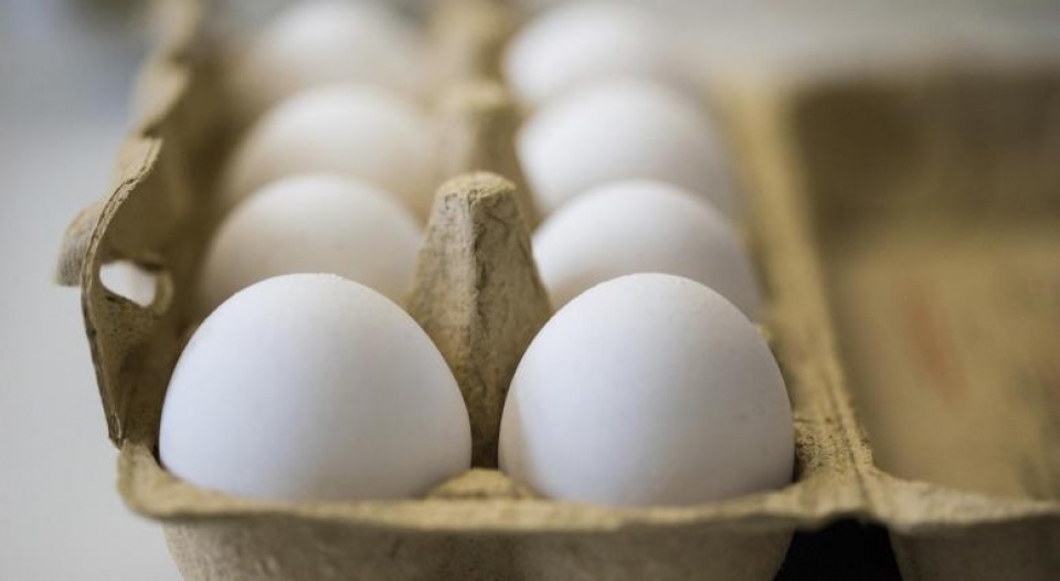 eu se xem xet vu be boi trung ga ban vao dau thang 9