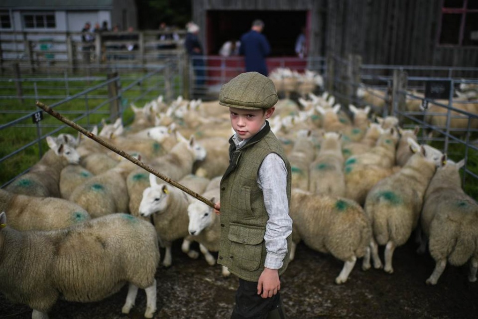 su kien trong tuan qua anh 12 198