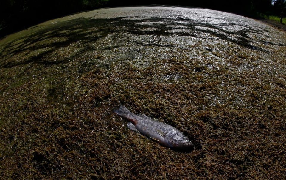 hoa hoan va lu lut khac nghiet tren toan cau mua he 2018