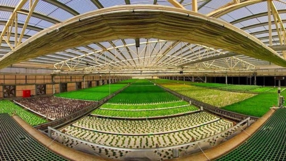 dai su cao tran quoc hai isarel la mot trong nhung nuoc dang choi