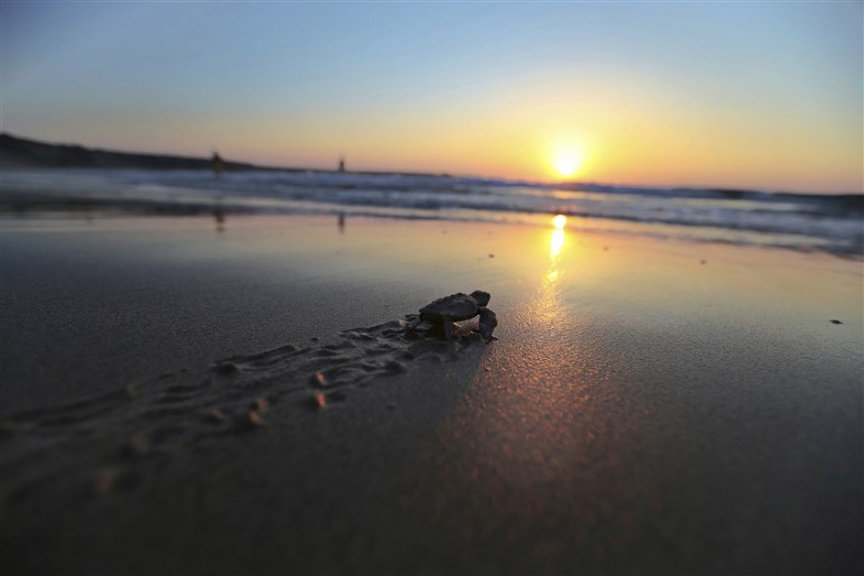 su kien trong tuan qua anh 11 188