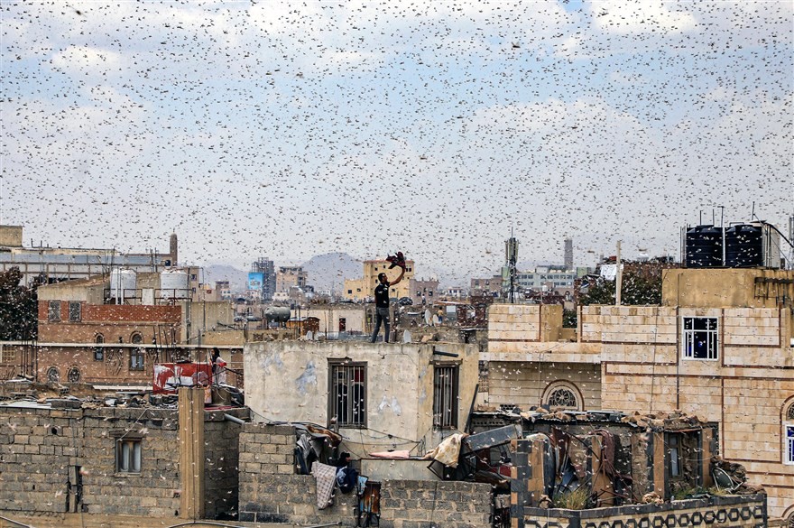 anh an tuong trong tuan 297 48 khi thu tuong anh tro tai bat ga