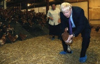 Ảnh ấn tượng trong tuần (29/7-4/8): Khi Thủ tướng Anh trổ tài bắt gà
