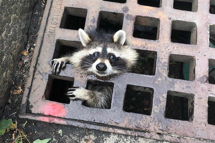 anh an tuong trong tuan 5 118 chien su syria va buc anh gay tranh cai cua tong thong trump