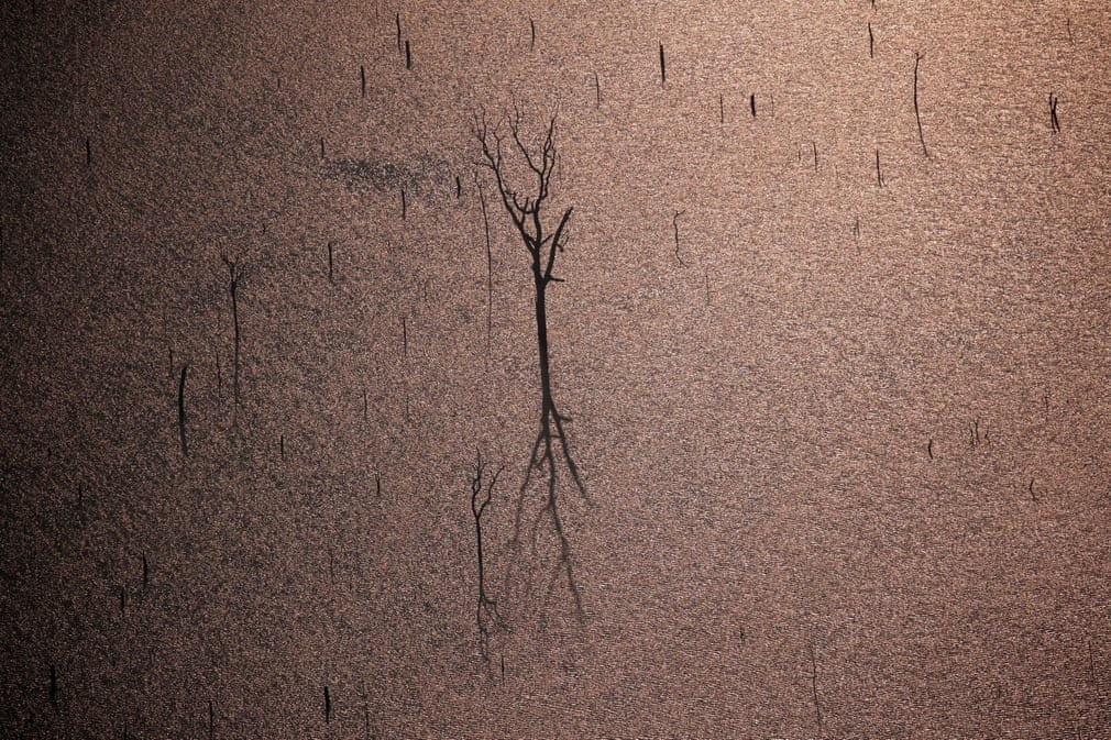 anh an tuong trong tuan 19 258 nhan doi chuyen co cua ong trump va ba hoa noi gian o rung amazon