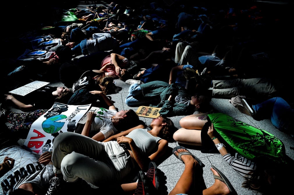 anh an tuong trong tuan 19 258 nhan doi chuyen co cua ong trump va ba hoa noi gian o rung amazon