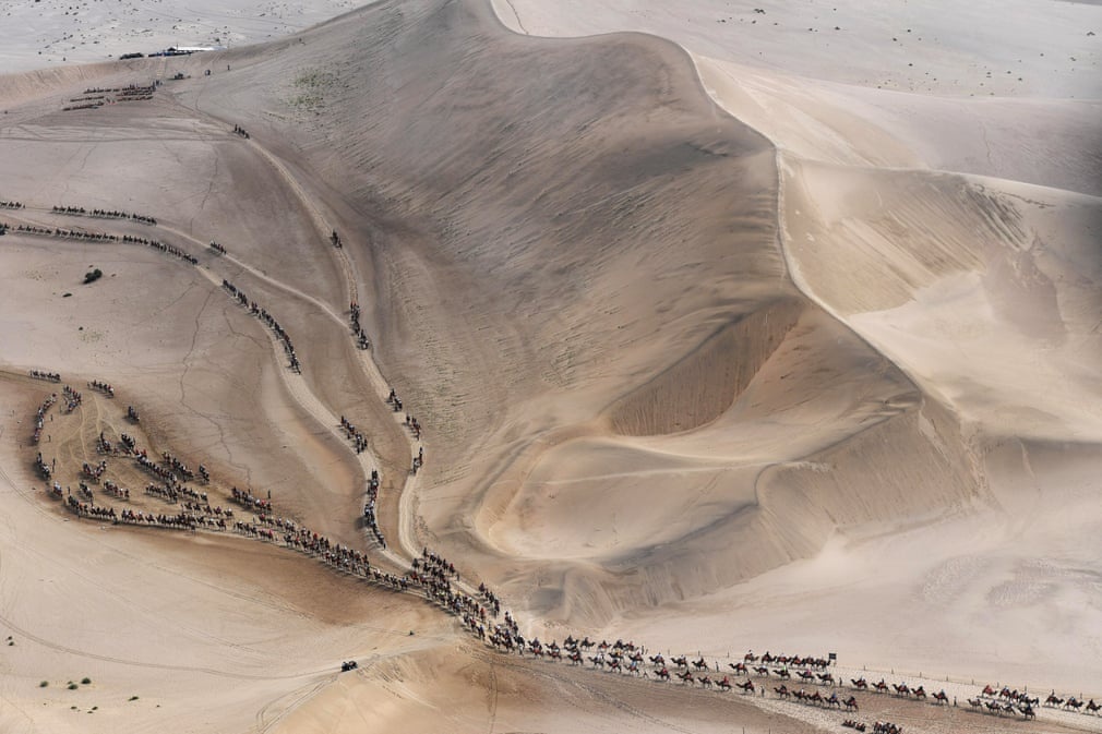 anh an tuong trong tuan 19 258 nhan doi chuyen co cua ong trump va ba hoa noi gian o rung amazon