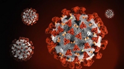 Những điều cần biết về các chủng virus đột biến của Covid-19