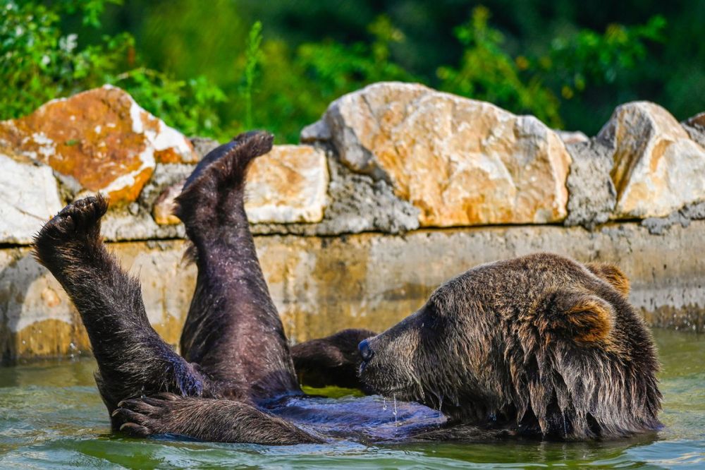 anh an tuong tuan 17 238 dap tam hiep xa het cong suat vi lu lut khung hoang belarus va binh bien o mali