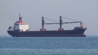 Tàu chở ngũ cốc xuất khẩu của Ukraine nhộn nhịp rời cảng ở Biển Đen