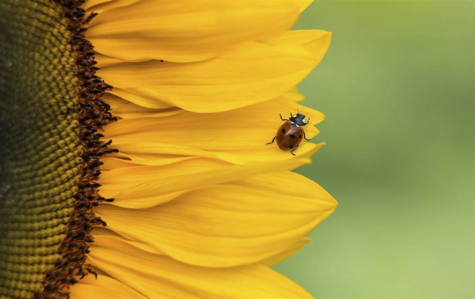 su kien trong tuan qua anh 2 99