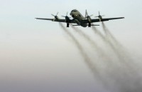 4 cong dan viet an toan sau vu may bay truot duong bang tai micronesia