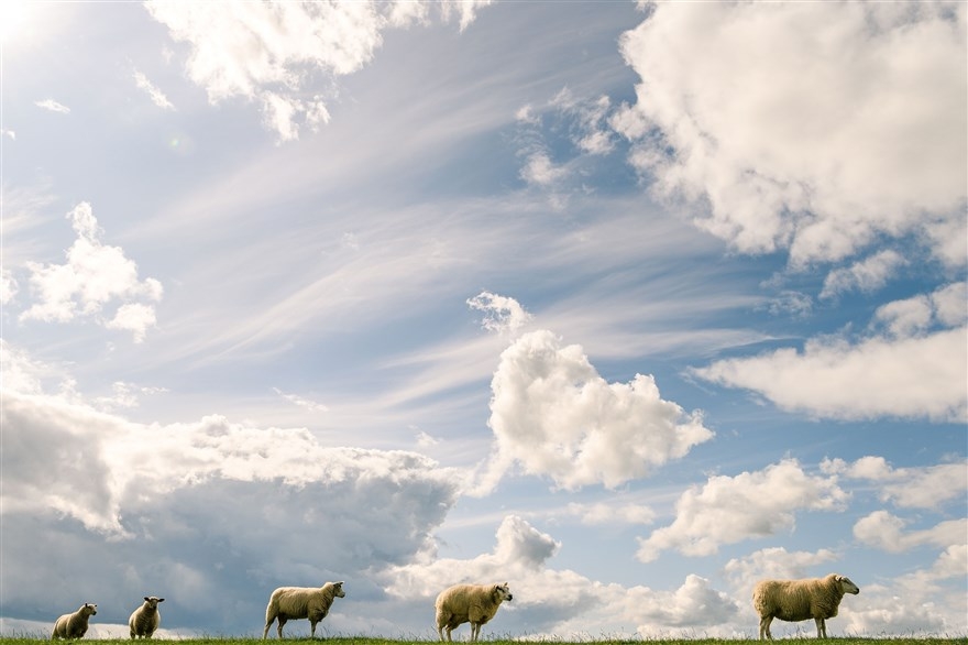 anh an tuong trong tuan 2 89 nghi si anh tranh thu chop mat tai quoc hoi va le hoi ngay tay an o my