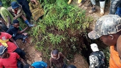 CHDC Congo: Ngập lụt hầm mỏ khai thác vàng, ít nhất 50 người thiệt mạng
