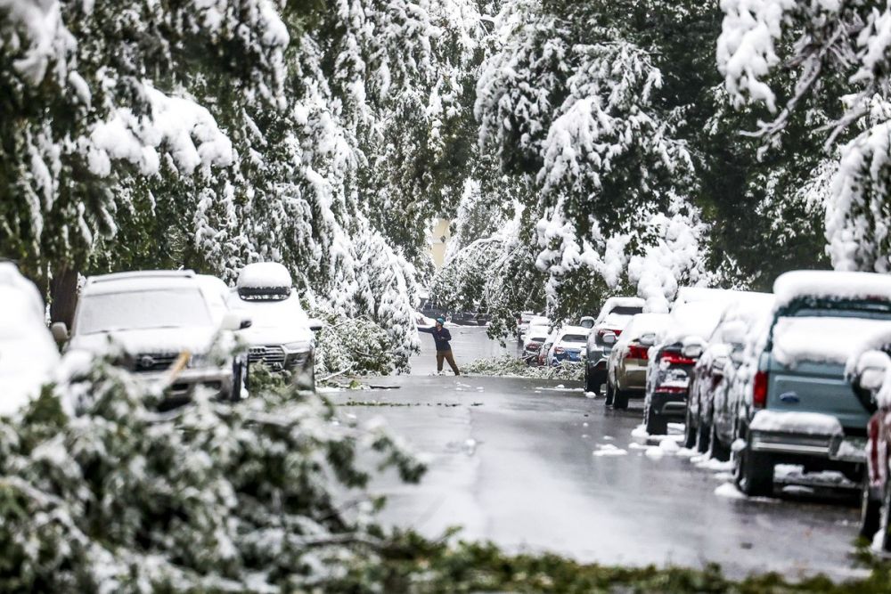 anh an tuong tuan 7 139 bau troi nhu ngay tan the o my cang thang belarus va nha sang lap wikileaks dac loi tu covid 19