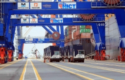 Xuất khẩu ngày 31/8-3/9: Ô tô nhập thấp kỷ lục; thu ngân sách từ xuất nhập khẩu tăng hơn 29%; cơ hội cho gạo Việt chinh phục người Hàn Quốc