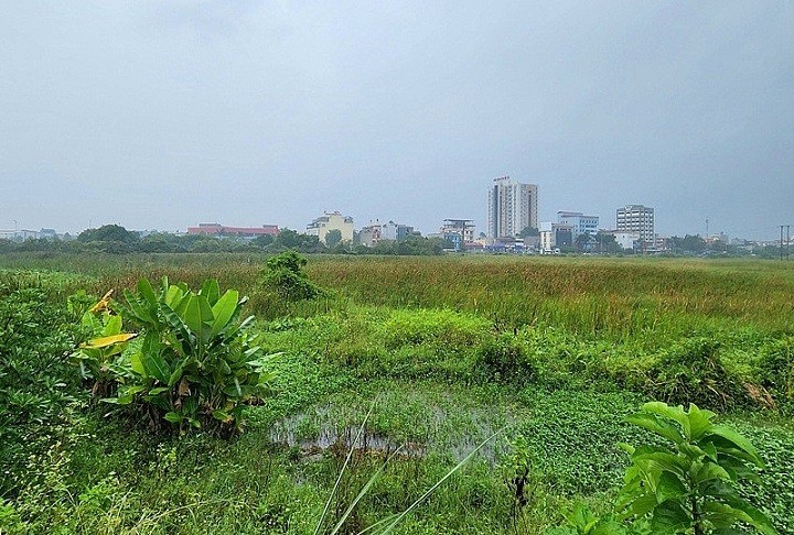 bat dong san moi nhat nguoi vay ngan hang mua nha ngoi tren dong lua bo quy dinh 80 dong y la thu hoi dat ly do huy ket qua 5 goi thau