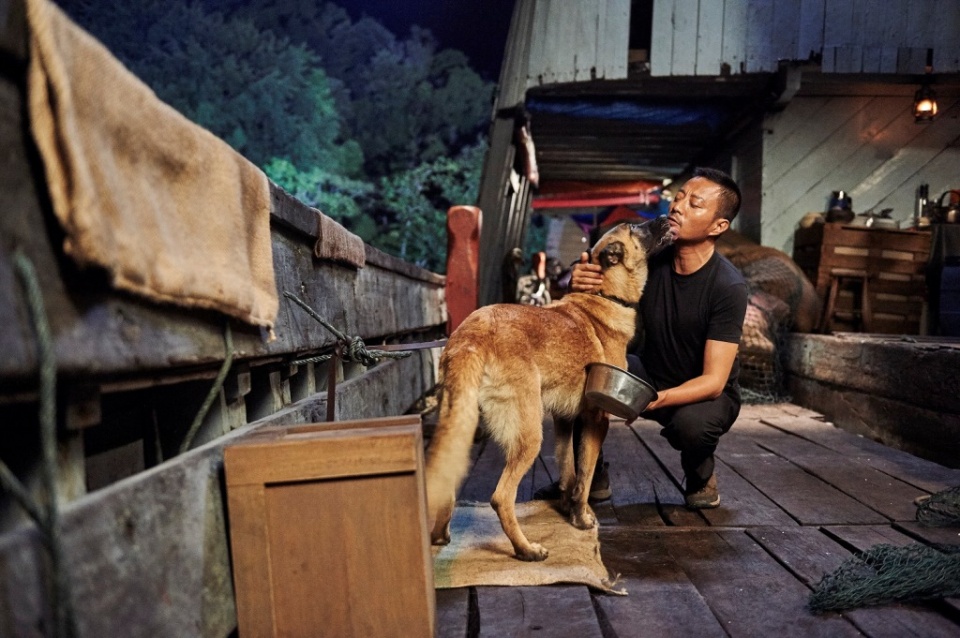 nhung ly do tao nen con sot diep vu tam giac vang