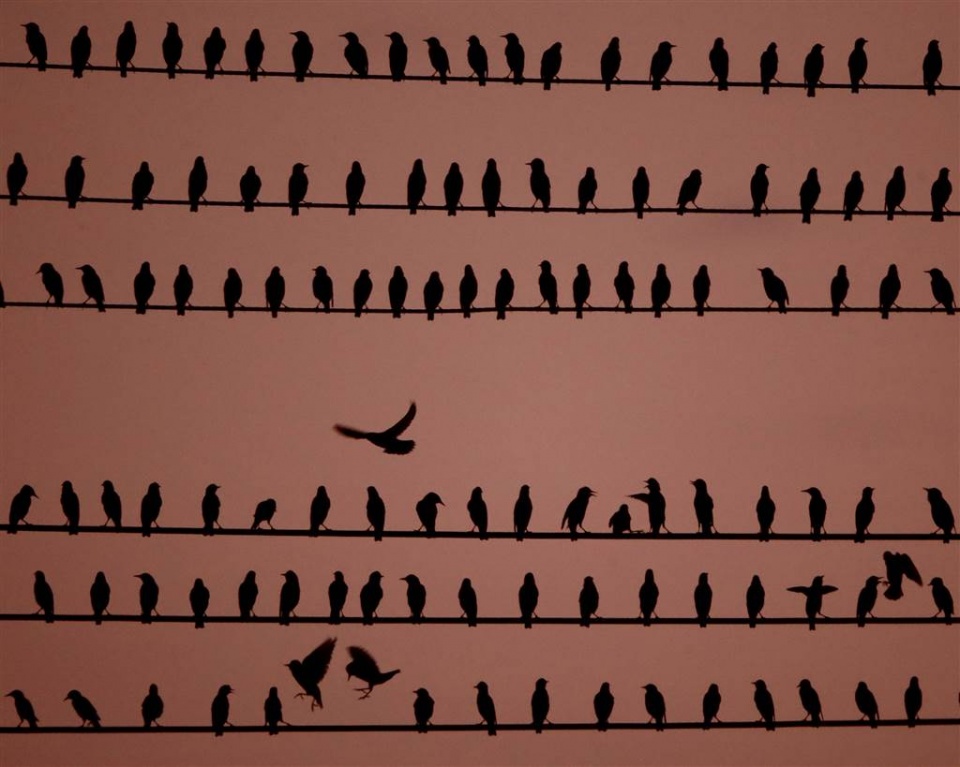 su kien trong tuan qua anh 24 309