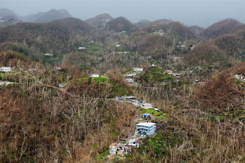 su kien trong tuan qua anh 309 710