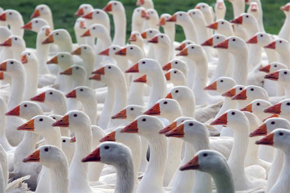 su kien trong tuan qua anh 21 2810