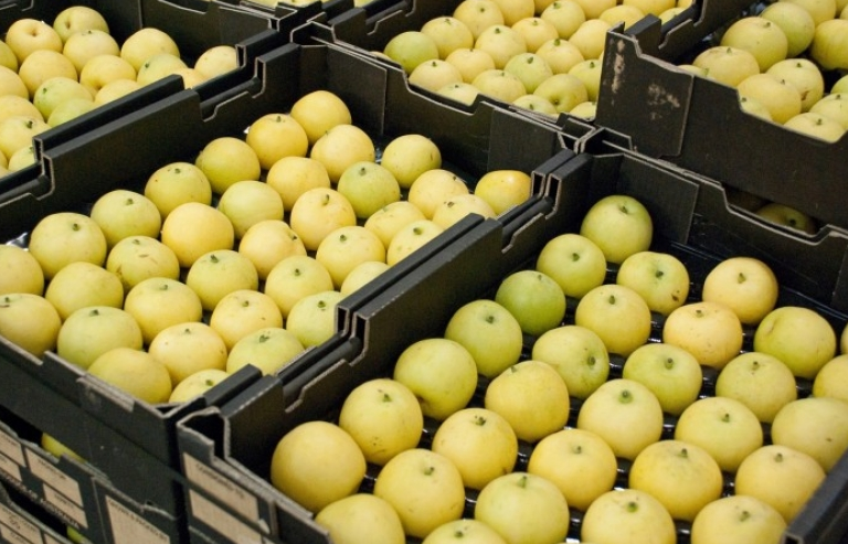 asean la thi truong xuat khau nong san lon nhat cua han quoc