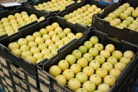 ASEAN là thị trường xuất khẩu nông sản lớn nhất của Hàn Quốc