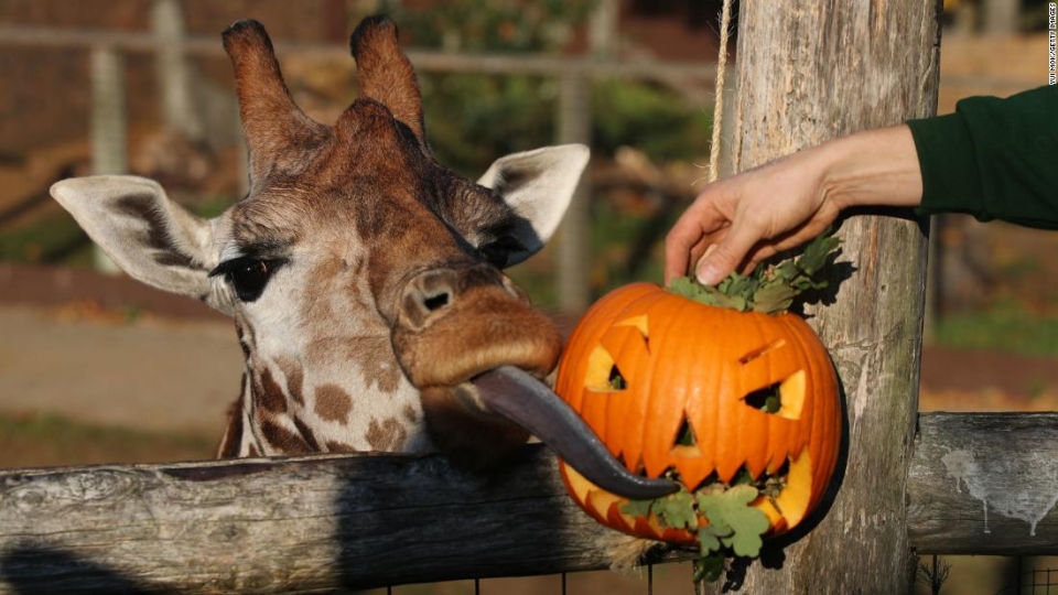 su kien trong tuan qua anh 21 28102018