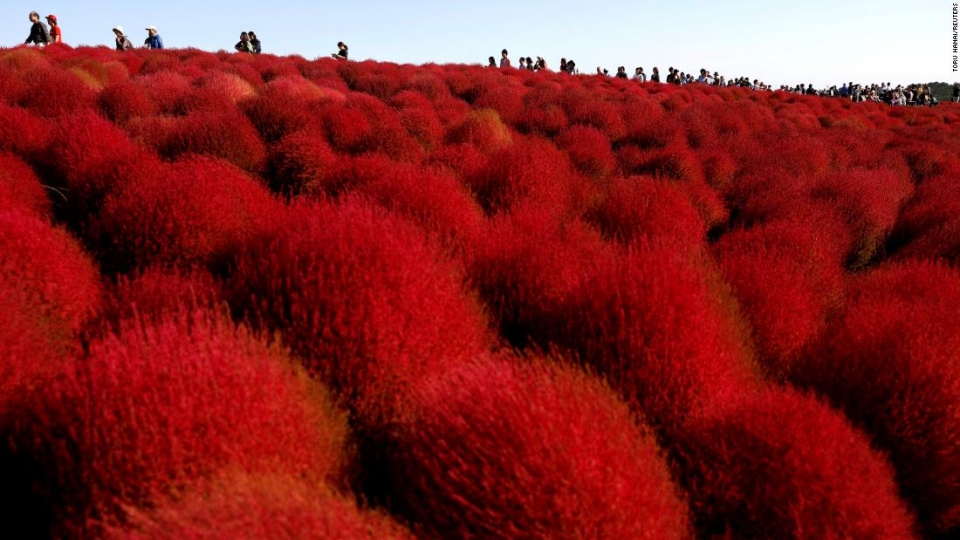 su kien trong tuan qua anh 21 28102018