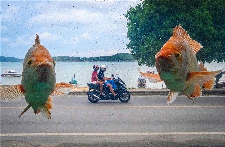 tong thong trump gian du voi phong vien va ky niem 1 nam ngay nha bao khashoggi bi sat hai