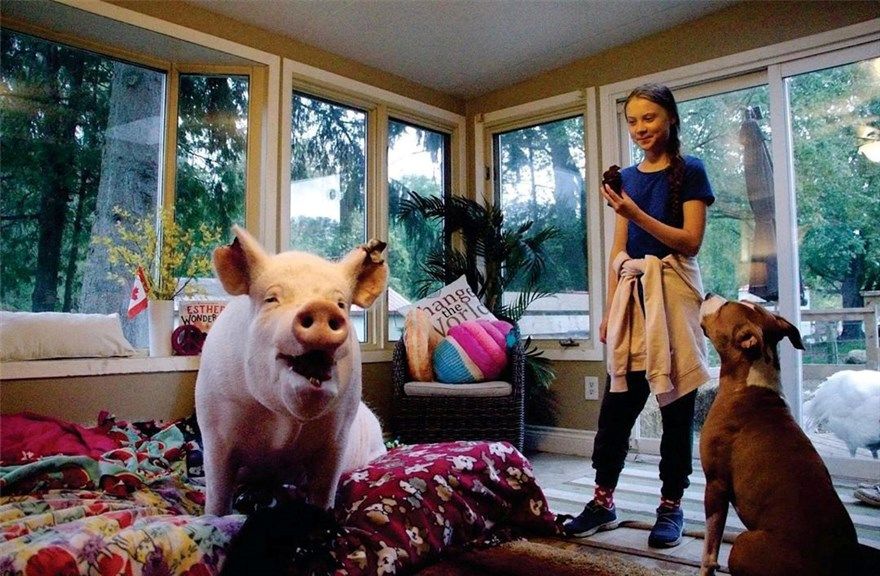 tong thong trump gian du voi phong vien va ky niem 1 nam ngay nha bao khashoggi bi sat hai