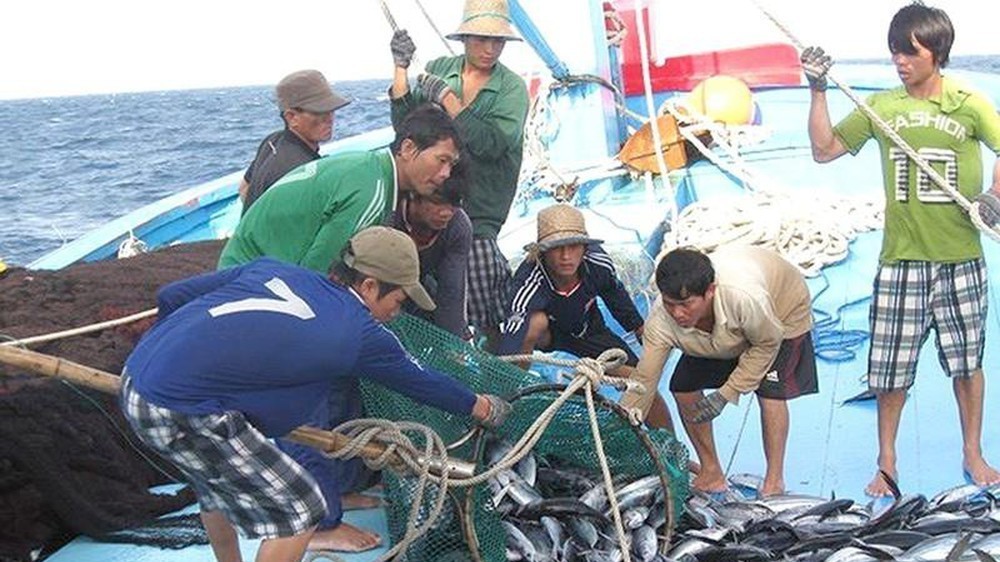 so hoa nghe ca de khac phuc the vang iuu va huong den phat trien ben vung