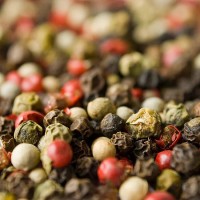 Giá tiêu hôm nay 22/5/2023, hồ tiêu trong nước bị ép giá, dự báo thiếu hụt nguồn cung nghiêm trọng, người trồng nên làm gì?