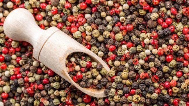 gia tieu hom nay 2732025 bat ngo lay lai nguong quan trong doanh nghiep xuat khau day manh thu mua