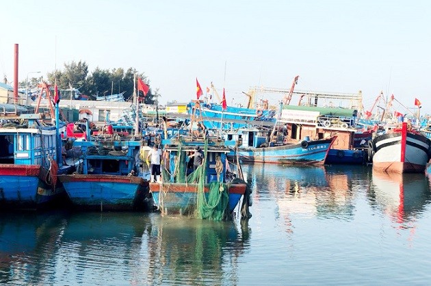 Khắc phục thẻ vàng thủy sản IUU. (Nguồn: Báo Quảng Ngãi)