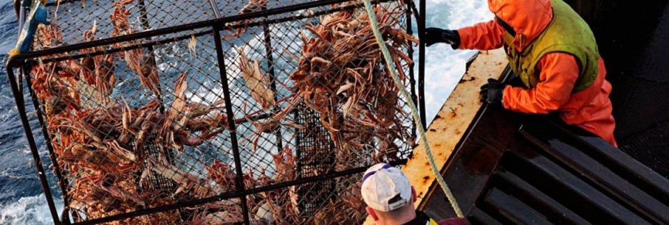 nguoi my tieu thu nhieu thuy san nong dan viet nam mung