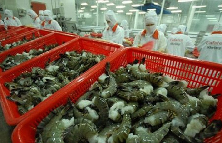 theo doi sat thi truong khi hoa ky thuc hien luat cai cach thue moi