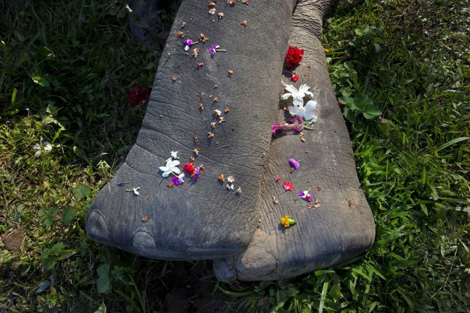 su kien trong tuan qua anh 2810 411