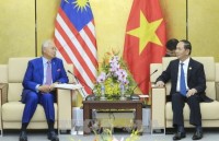 thuc day quan he song phuong viet nam brunei