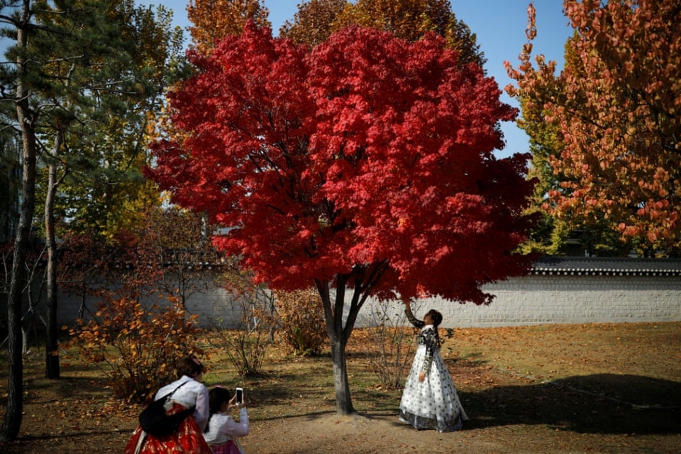 su kien trong tuan qua anh 3 1011