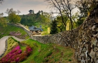 Khai mạc Triển lãm ảnh Tìm hiểu Baekje