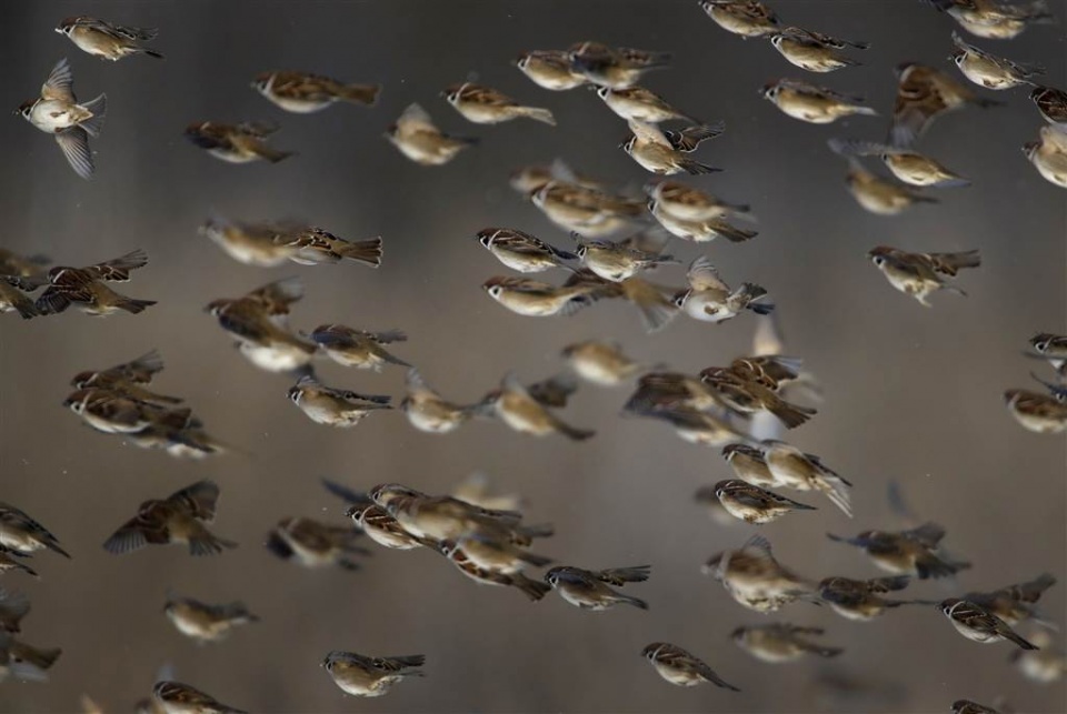 su kien trong tuan qua anh 9 1612