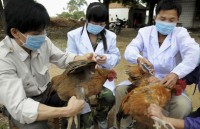 trung quoc ghi nhan them ca nhiem cum gia cam h7n9