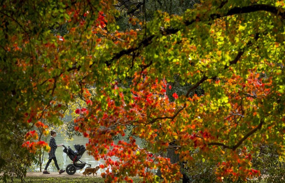 su kien trong tuan qua anh 2611 312