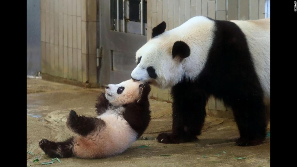 su kien trong tuan qua anh 16 2312