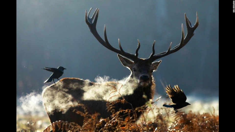 tuan cuoi cung cua nam 2017 qua anh