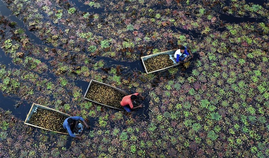 anh an tuong trong tuan 2 912 cac nha lanh dao nato buon chuyen va thong diep tu trieu tien