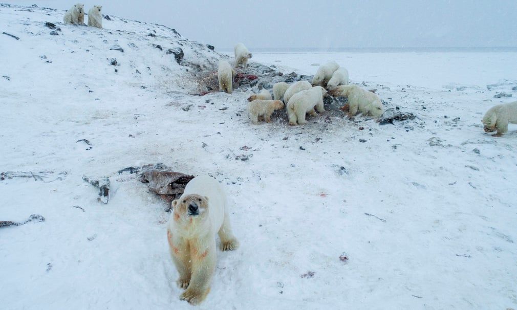 anh an tuong trong tuan 2 912 cac nha lanh dao nato buon chuyen va thong diep tu trieu tien